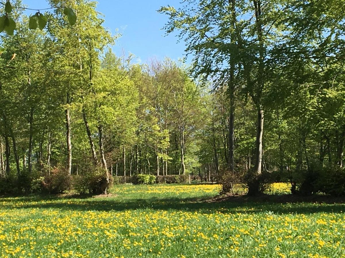 Ferienwohnung Ravelblick Roetgen Εξωτερικό φωτογραφία